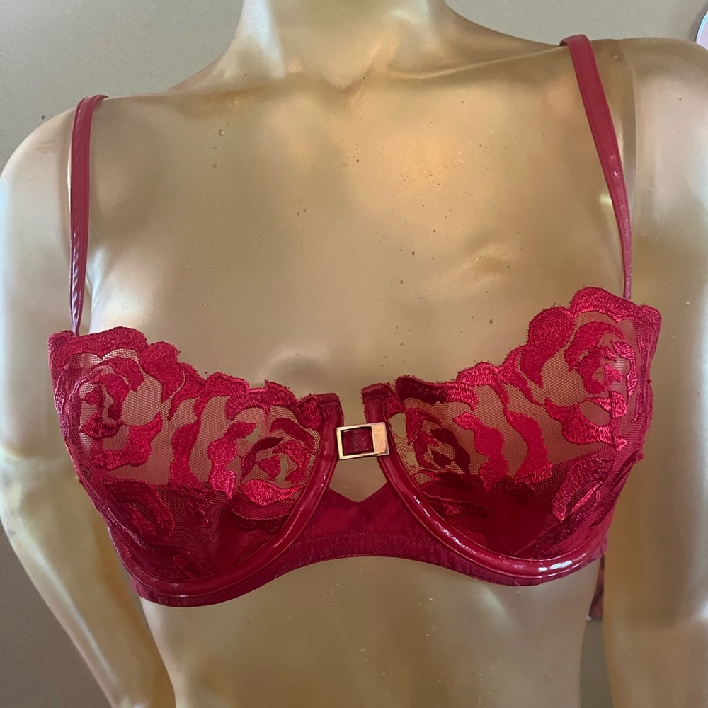 Y2K VS Very Sexy Red Push-up Demi Bra, Lace, Vinyl, Zebra Print, Floral. 36C